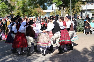 img 5423 resize