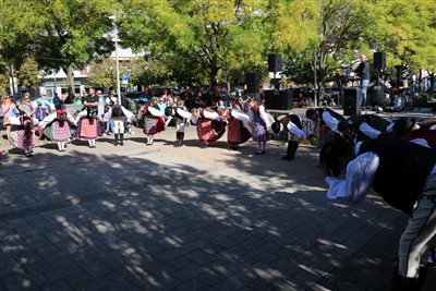 img 5428 resize