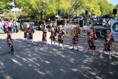 img 5439 resize