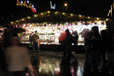 IMG 9194 resize