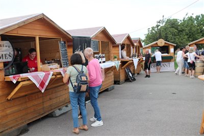 vínnyfestival2025 104