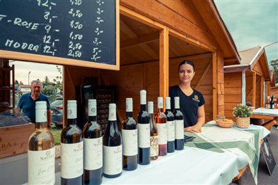 vinnyfestival2025 02