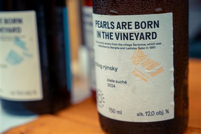 vinnyfestival2025 04