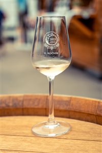 vinnyfestival2025 05