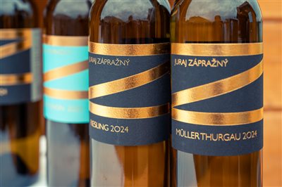vinnyfestival2025 06