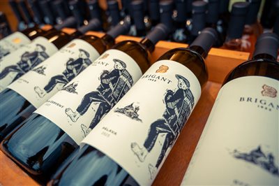 vinnyfestival2025 08