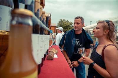 vinnyfestival2025 09