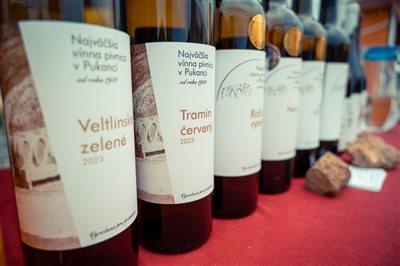 vinnyfestival2025 10