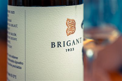 vinnyfestival2025 33