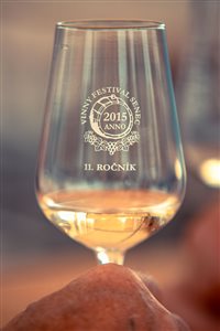 vinnyfestival2025 34