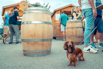 vinnyfestival2025 61