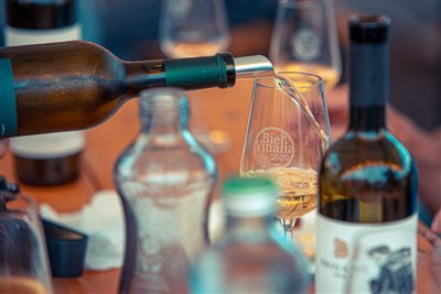 vinnyfestival2025 77