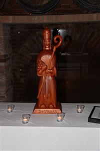 img 3264 resize