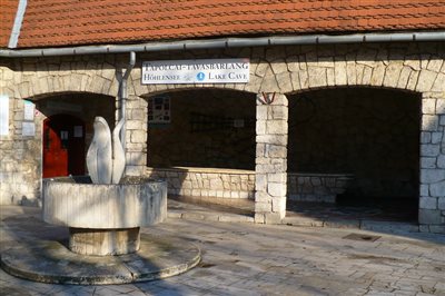 P1020973 dr