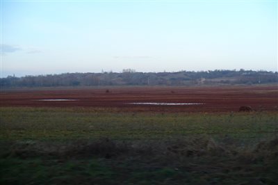 P1030027 dr