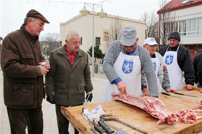N DurayZoli  018