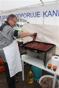 img 8286 resize