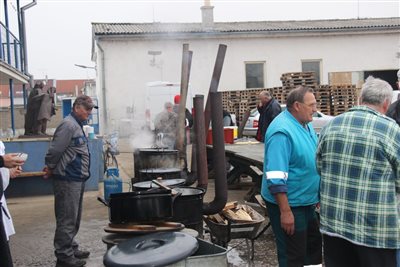 img 1262 resize