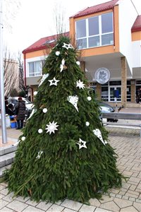 img 1573 resize