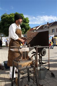 IMG 0002 DurayZoli