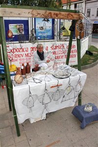 IMG 0026 DurayZoli