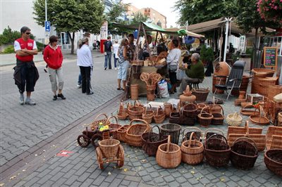 IMG 0038 DurayZoli