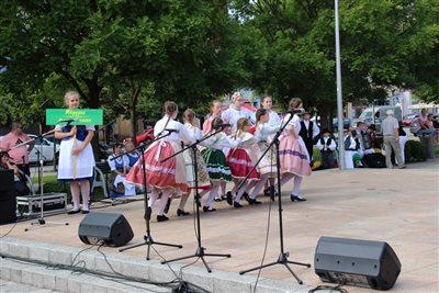 img 8135 resize