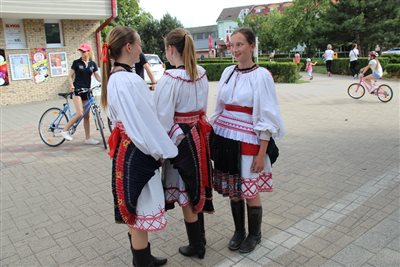 img 8220 resize