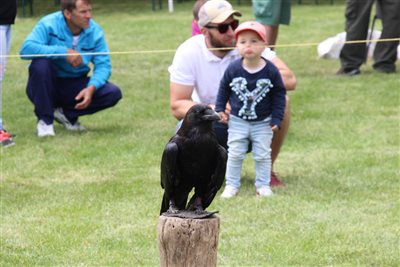 img 7794 resize