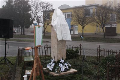 img 2205 resize