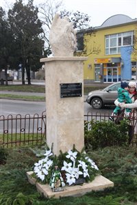 img 2248 resize
