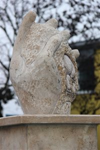 img 2257 resize