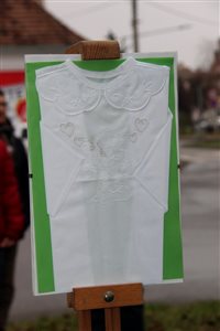img 2261 resize