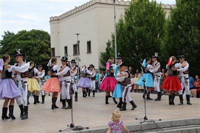 img 7544 resize
