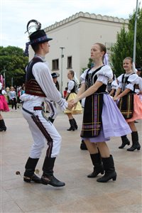 img 7547 resize