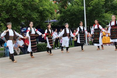 img 7605 resize