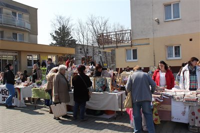 img 2959 resize