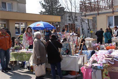 img 3009 resize
