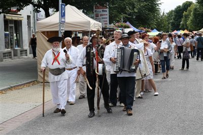 img 0230 resize