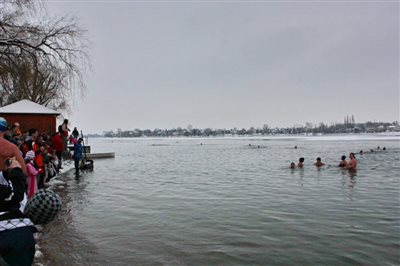 IMG 5256