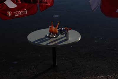 img 0483 resize