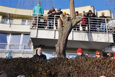 176 jegesmedvek 2020 resize
