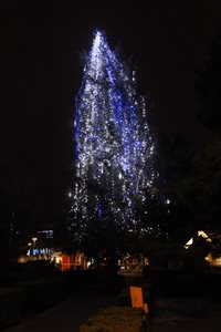 img 4207 resize