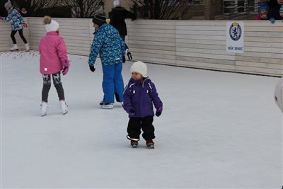img 3713 resize