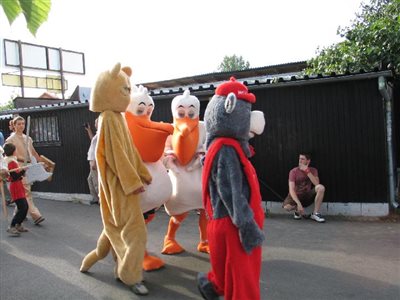 IMG 0011