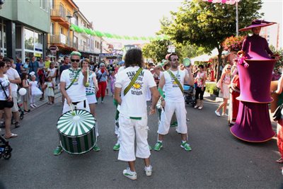 img 2946 resize