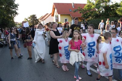 img 3133 resize