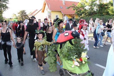 img 3139 resize