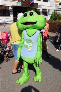 img 6264 resize