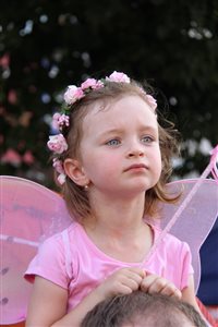 img 8224 resize